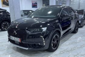 Ds7 Performance 2021