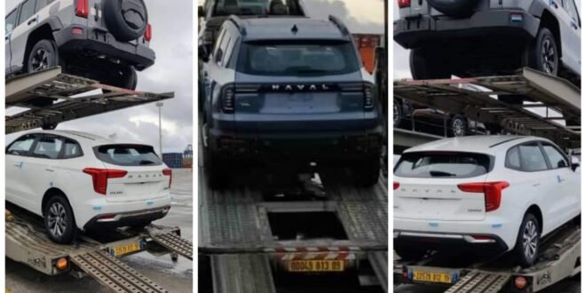 Great wall Motors Algerie 660x330 1 | car-dz