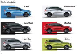 
Prix Haval Jolion full									