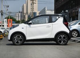 Chery EQ1